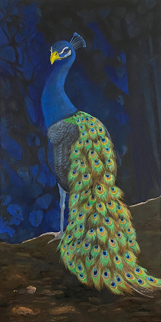 The-Peacock.jpg