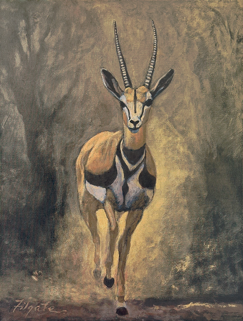 gazelle.jpg