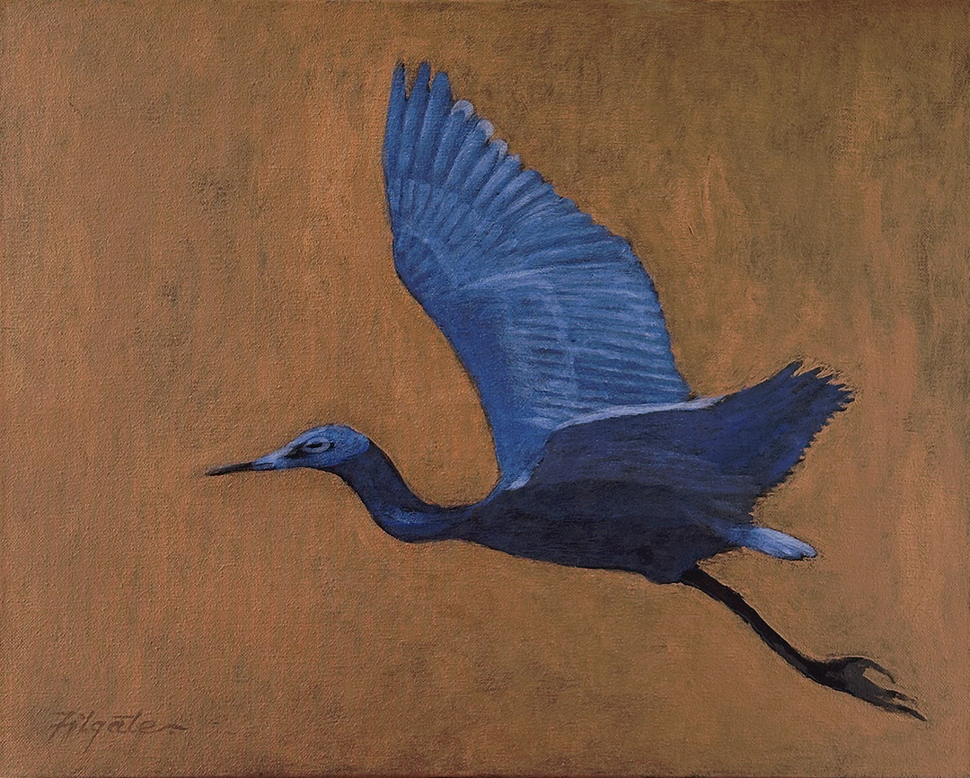 Blue-Heron.jpg